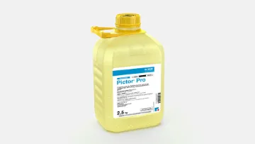 basf pictor pro